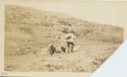 Image of Man hiking with backpack and gun; dog wearing saddle bags